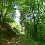 Moselschiefer-traumferienwohnung Am Moselufer By Interhome * Traben-Trarbach