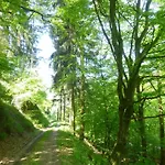 Apartament Moselschiefer-traumferienwohnung Am Moselufer By Interhome