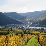 Apartament Moselschiefer-traumferienwohnung Am Moselufer By Interhome Traben-Trarbach