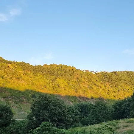 Moselschiefer-traumferienwohnung Am Moselufer By Interhome