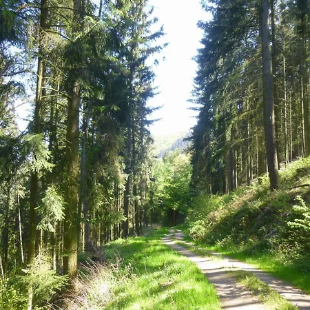 Moselschiefer-traumferienwohnung Am Moselufer By Interhome *
