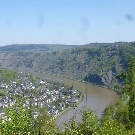 Apartment Moselschiefer-traumferienwohnung Am Moselufer By Interhome *