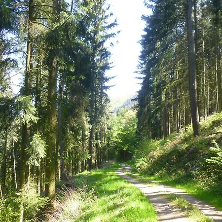 Moselschiefer-traumferienwohnung Am Moselufer By Interhome Apartment