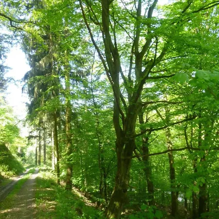 Moselschiefer-traumferienwohnung Am Moselufer By Interhome * Verbandsgemeinde Traben-Trarbach