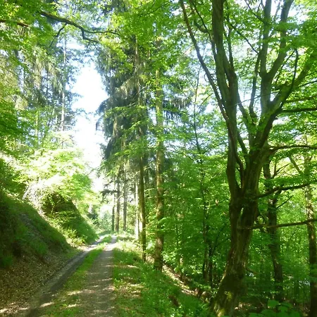 Apartment Moselschiefer-traumferienwohnung Am Moselufer By Interhome