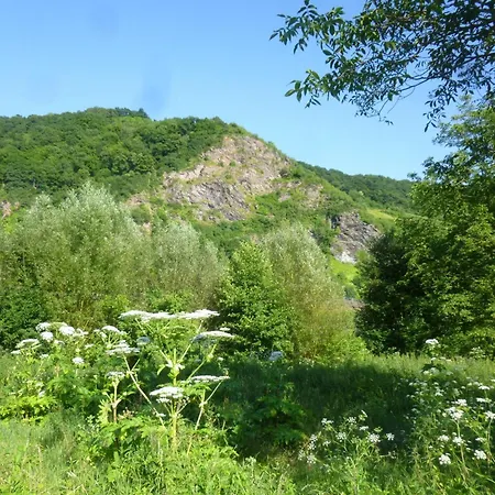Apartment Moselschiefer-traumferienwohnung Am Moselufer By Interhome Traben-Trarbach