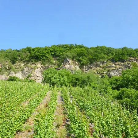 Apartment Moselschiefer-traumferienwohnung Am Moselufer By Interhome *
