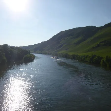 Moselschiefer-traumferienwohnung Am Moselufer By Interhome Apartment