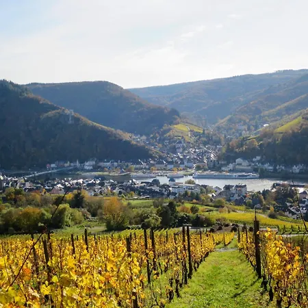 Apartment Moselschiefer-traumferienwohnung Am Moselufer By Interhome Traben-Trarbach