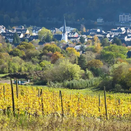 Moselschiefer-traumferienwohnung Am Moselufer By Interhome Apartment