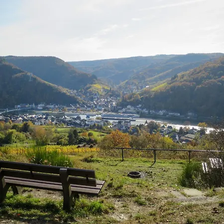 Moselschiefer-traumferienwohnung Am Moselufer By Interhome