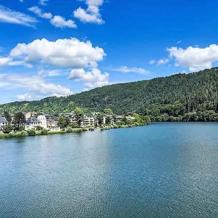 Apartment Moselschiefer-traumferienwohnung Am Moselufer By Interhome *