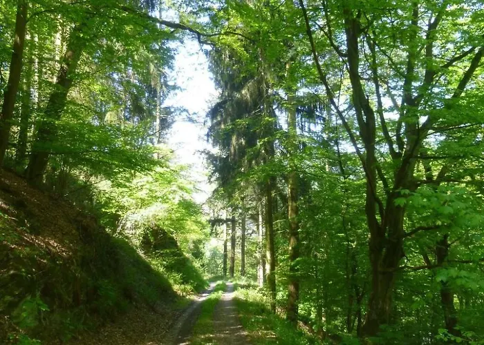 Moselschiefer-traumferienwohnung Am Moselufer By Interhome * Traben-Trarbach