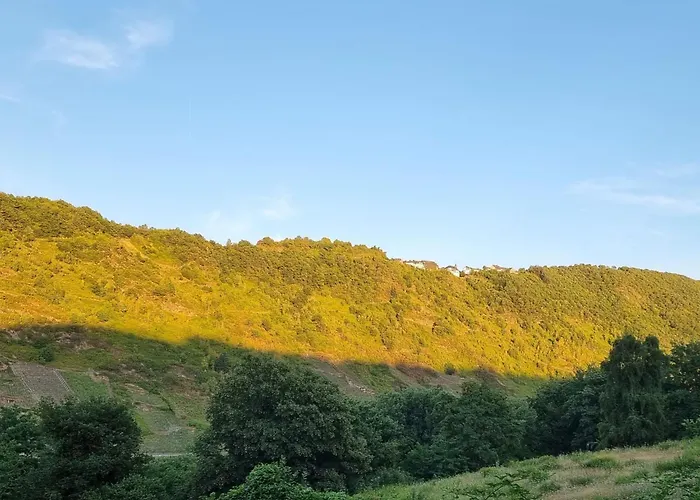 Moselschiefer-traumferienwohnung Am Moselufer By Interhome