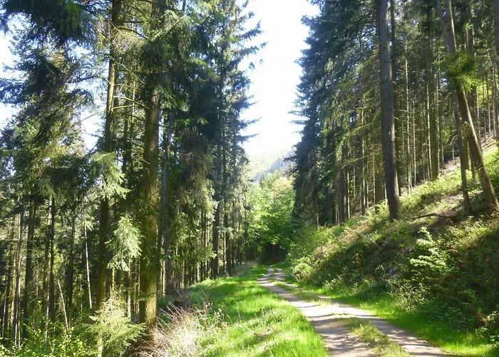 Moselschiefer-traumferienwohnung Am Moselufer By Interhome *