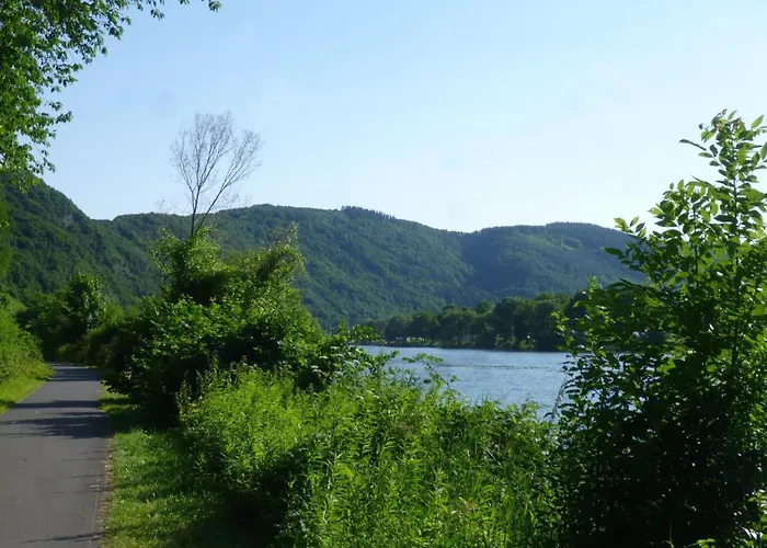 Moselschiefer-traumferienwohnung Am Moselufer By Interhome Traben-Trarbach