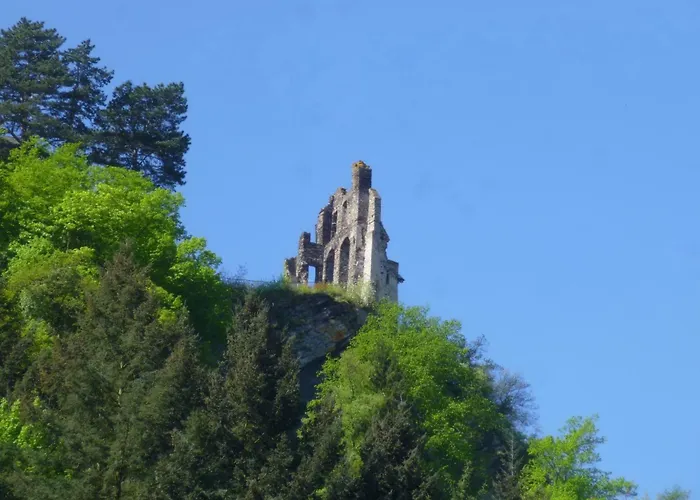 Moselschiefer-traumferienwohnung Am Moselufer By Interhome
