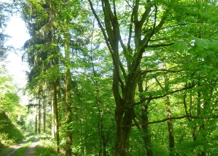 Moselschiefer-traumferienwohnung Am Moselufer By Interhome * Traben-Trarbach