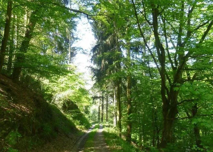Moselschiefer-traumferienwohnung Am Moselufer By Interhome