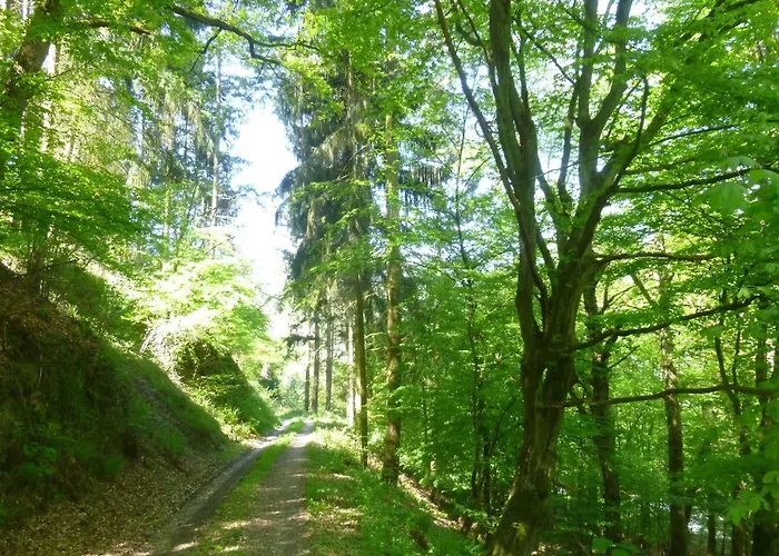 公寓 Moselschiefer-traumferienwohnung Am Moselufer By Interhome