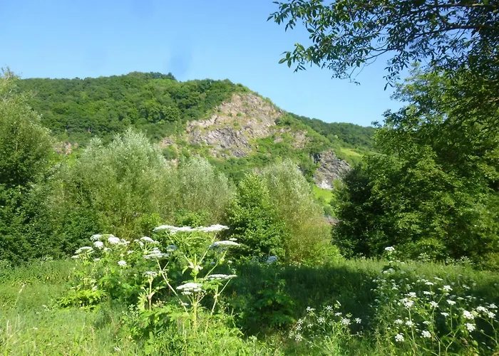 公寓 Moselschiefer-traumferienwohnung Am Moselufer By Interhome 特拉本特拉巴赫