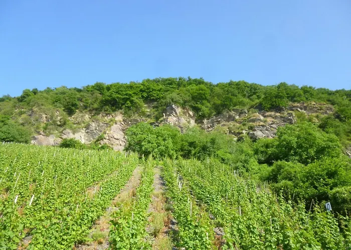 Apartamento Moselschiefer-traumferienwohnung Am Moselufer By Interhome *