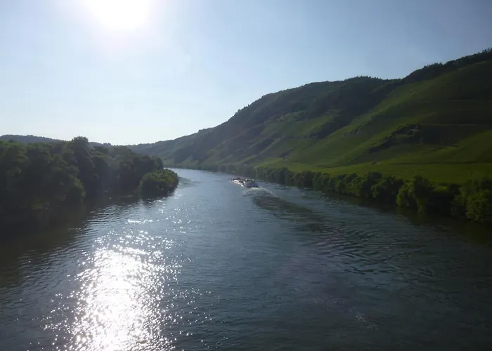 Moselschiefer-traumferienwohnung Am Moselufer By Interhome 公寓