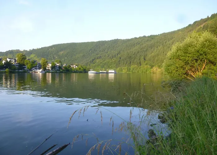 Moselschiefer-traumferienwohnung Am Moselufer By Interhome * Traben-Trarbach
