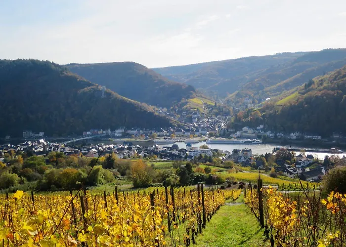 Apartamento Moselschiefer-traumferienwohnung Am Moselufer By Interhome Traben-Trarbach