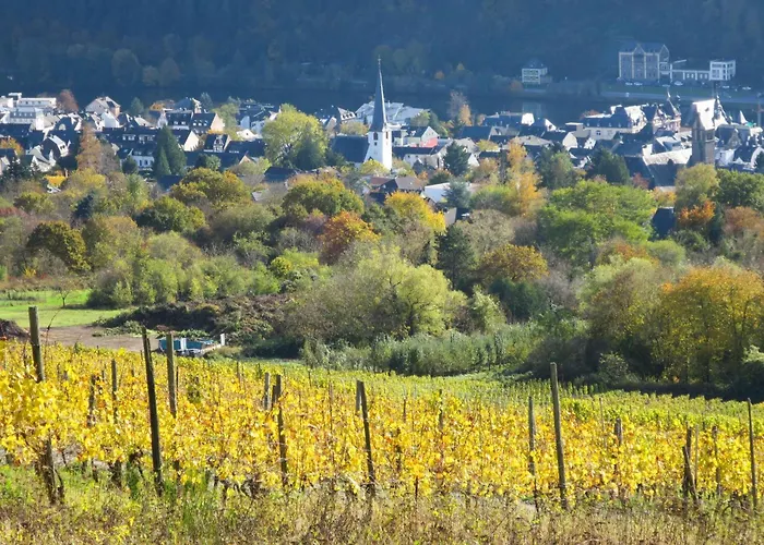 Moselschiefer-traumferienwohnung Am Moselufer By Interhome 公寓